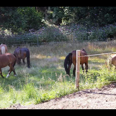 Reiterhof Fewo Tinkerbell *
